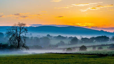 为什么ECU出厂时不直接做到最佳状况? 为什么ECU出厂时不直接做到最佳状况?