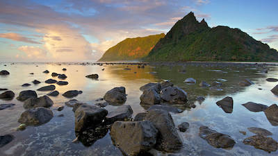 特调与罐头程序的区别？