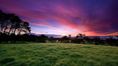 为什么刷ecu升级能有效提升汽车动力? 为什么刷ecu升级能有效提升汽车动力?