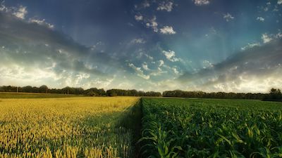 为什么ECU出厂时不直接做到最佳状况？