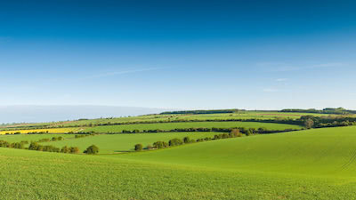 特调与罐头程序的区别？